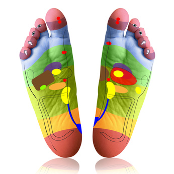 représentation des zones réflexes sur les pieds
