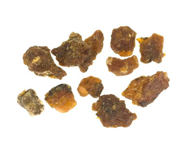 Quelques morceaux de myrrhe